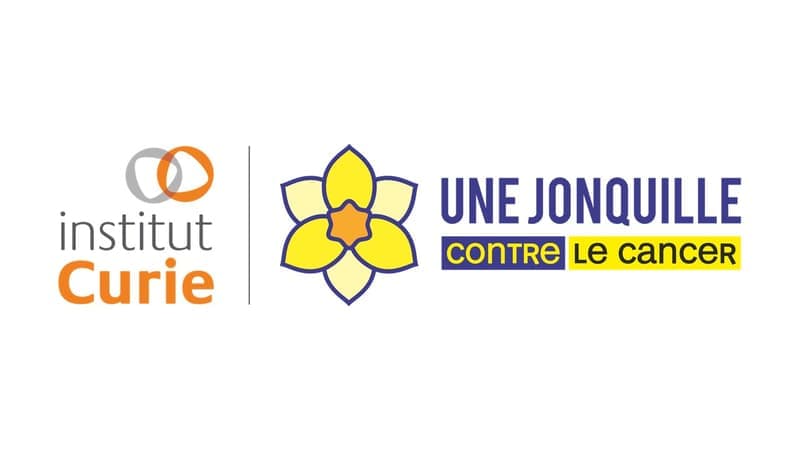 CARTE À CRÉER - Fabriquez une carte avec 3 jonquilles - à coller (Une JONQUILLE pour Curie) - vue 8