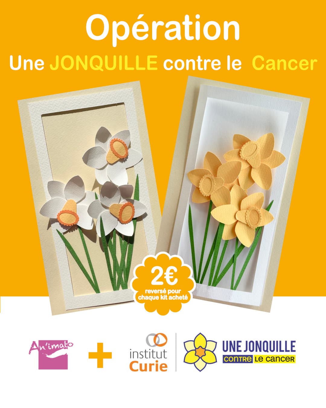 CARTE À CRÉER - Fabriquez une carte avec 3 jonquilles - à coller (Une JONQUILLE pour Curie) - vue 4