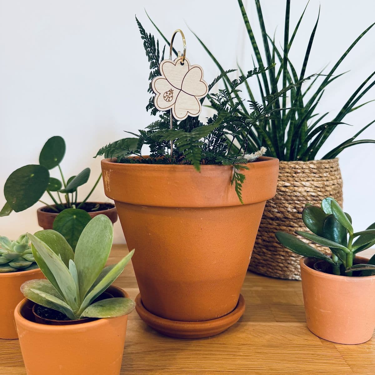 Pic Botanique avec tige en métal et élément en bois de bouleau en forme de trèfle avec une coccinelle dans une plante